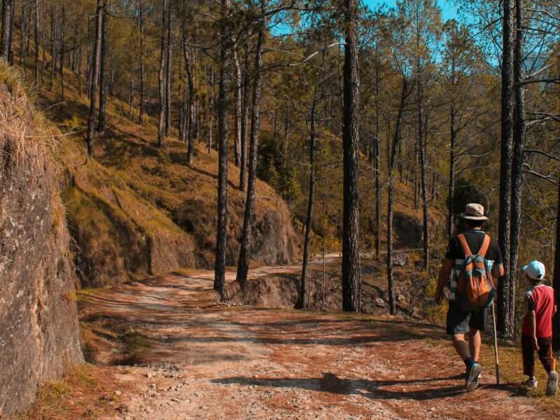 Recorrido en la Montaña